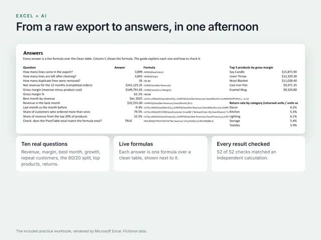 Excel + AI: Analyse Anything in an Afternoon + Workbook
