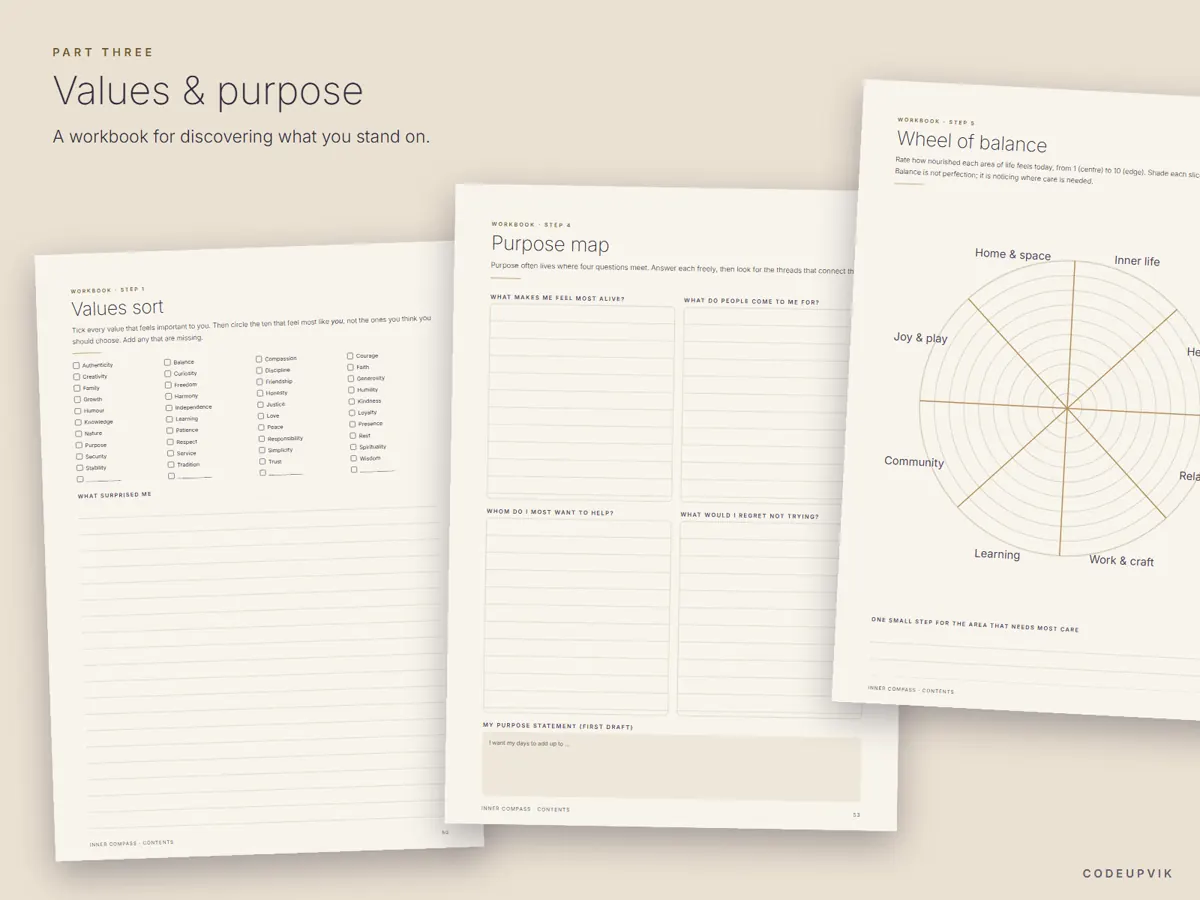 Values and purpose workbook