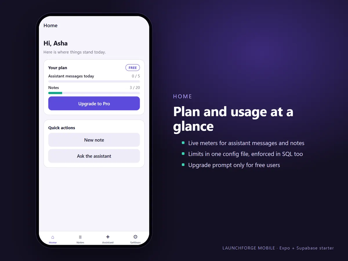 Home screen with plan and usage meters