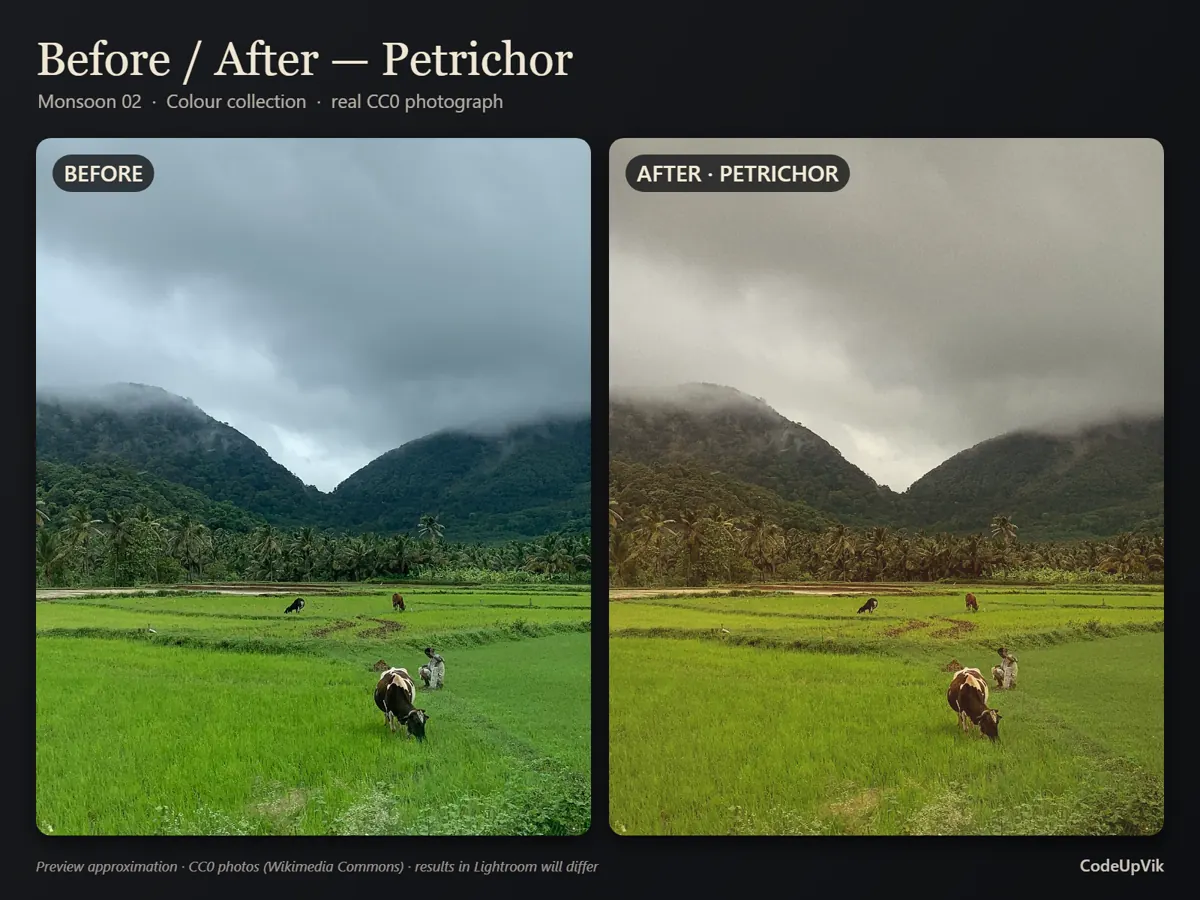Before and after: Petrichor